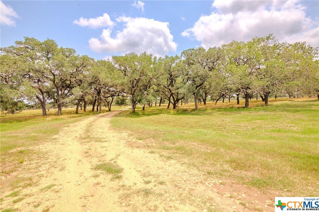 4132 County Road 436