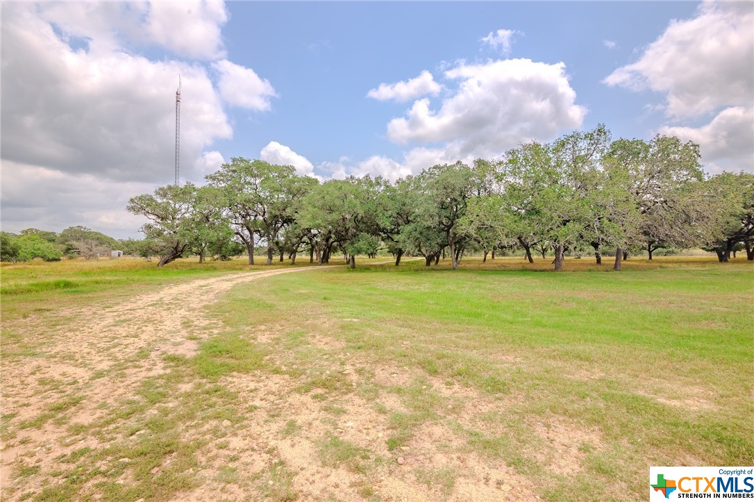 4132 County Road 436