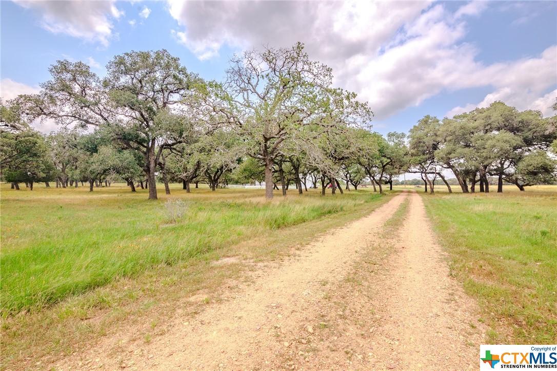4132 County Road 436