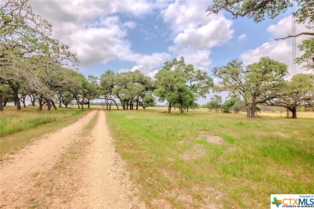 4132 County Road 436