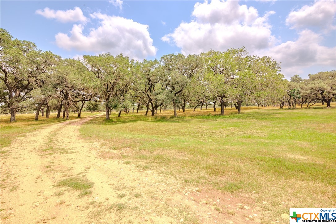 4132 County Road 436