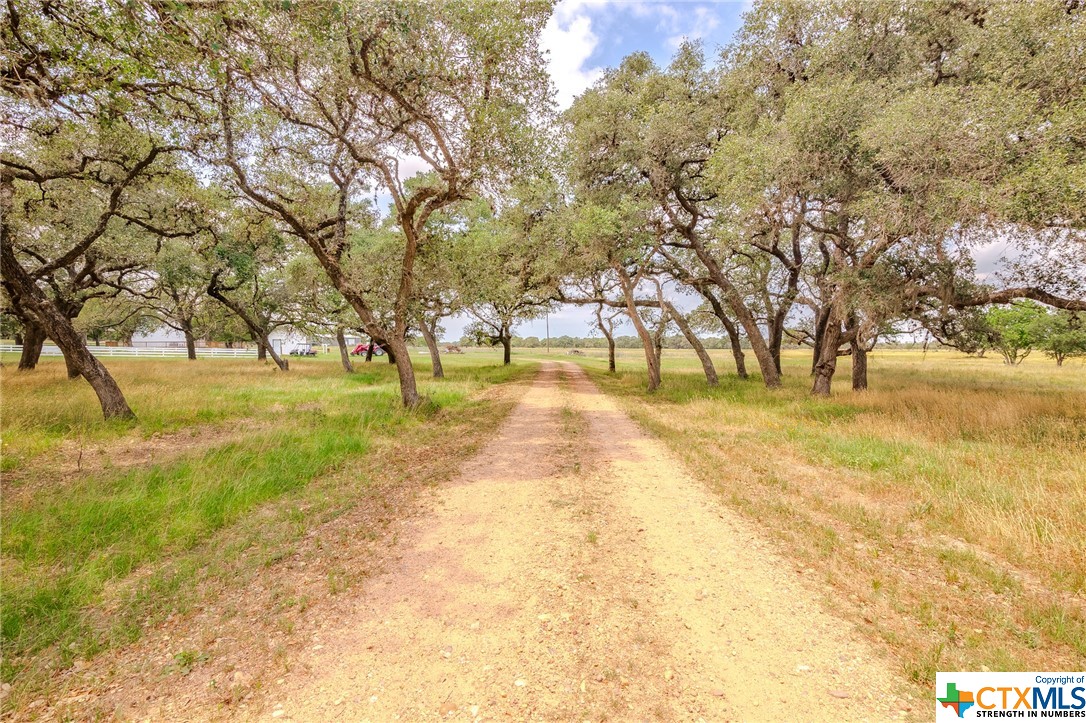 4132 County Road 436