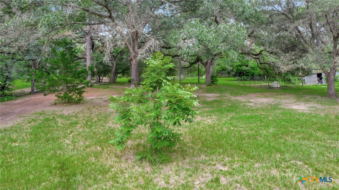 298 County Road 126