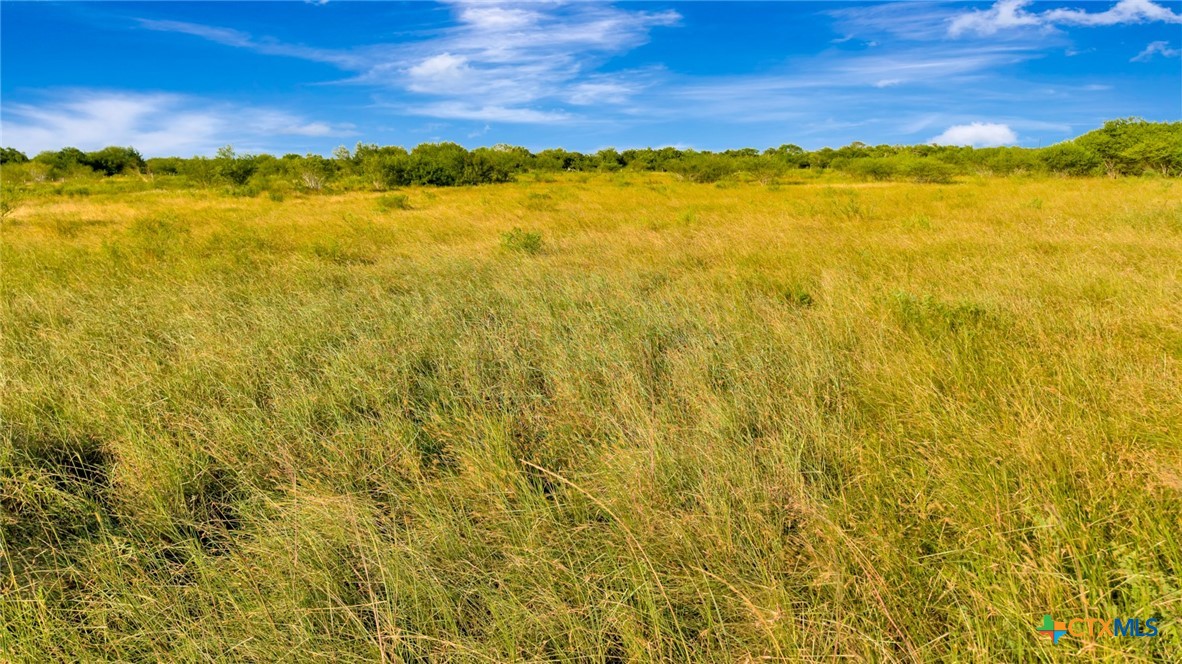 157 Brushy Creek Road
