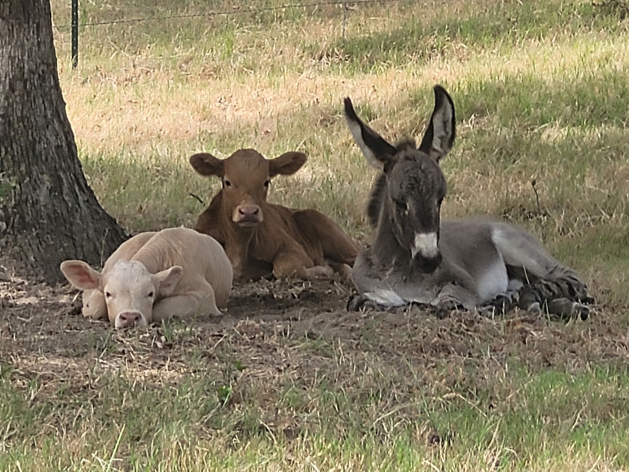 17830 County Road 4069