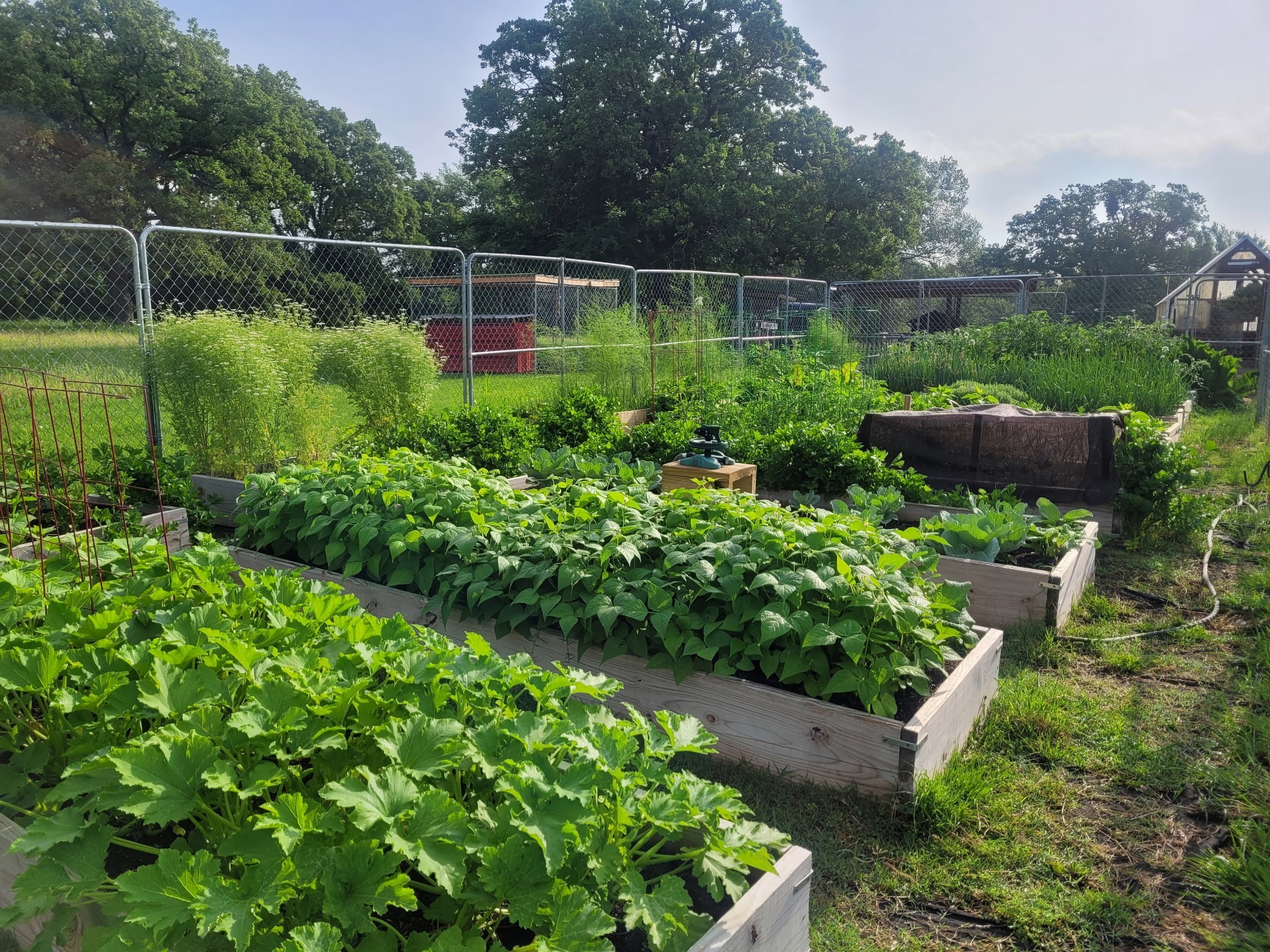 17830 County Road 4069