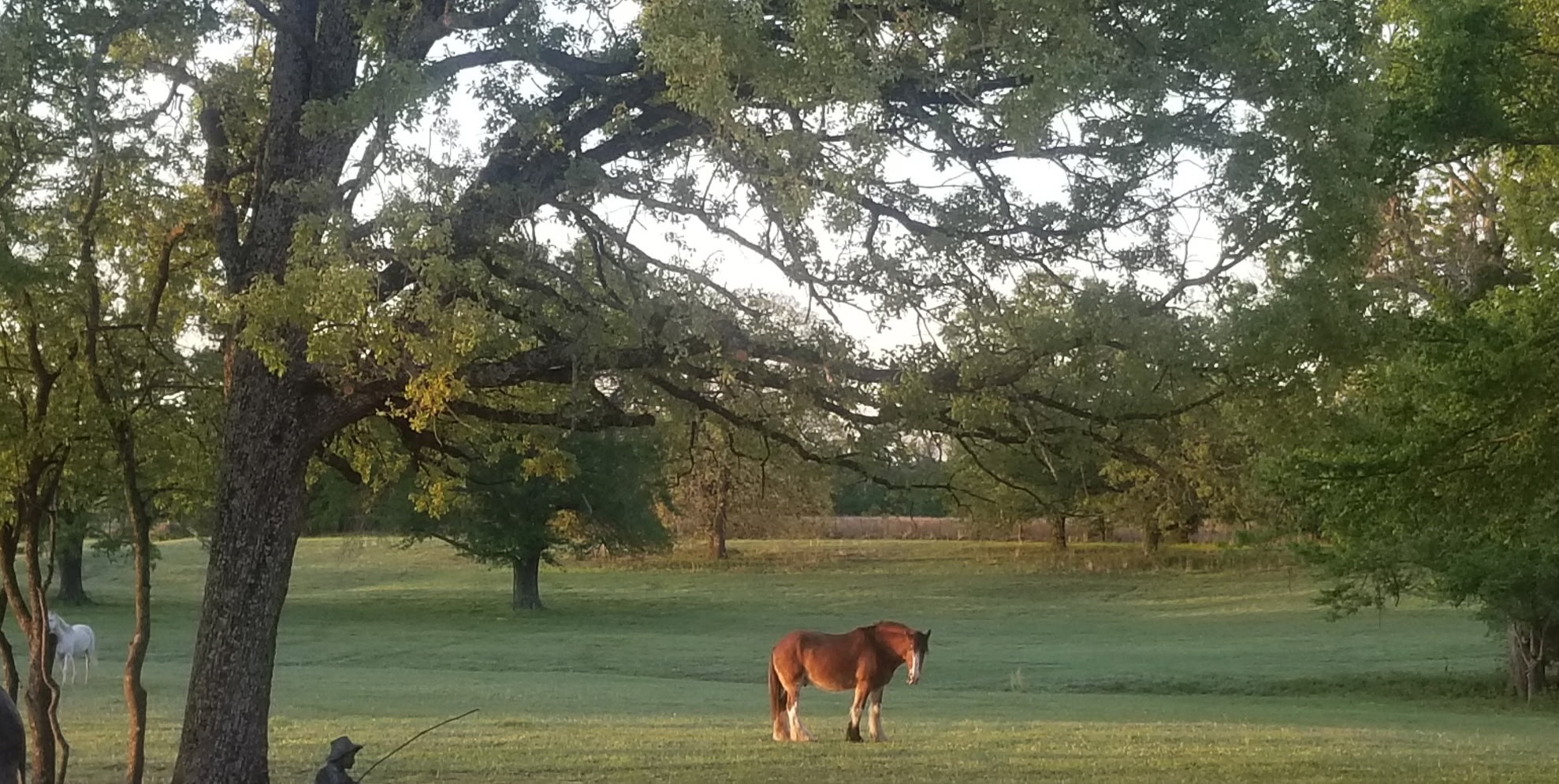 17830 County Road 4069