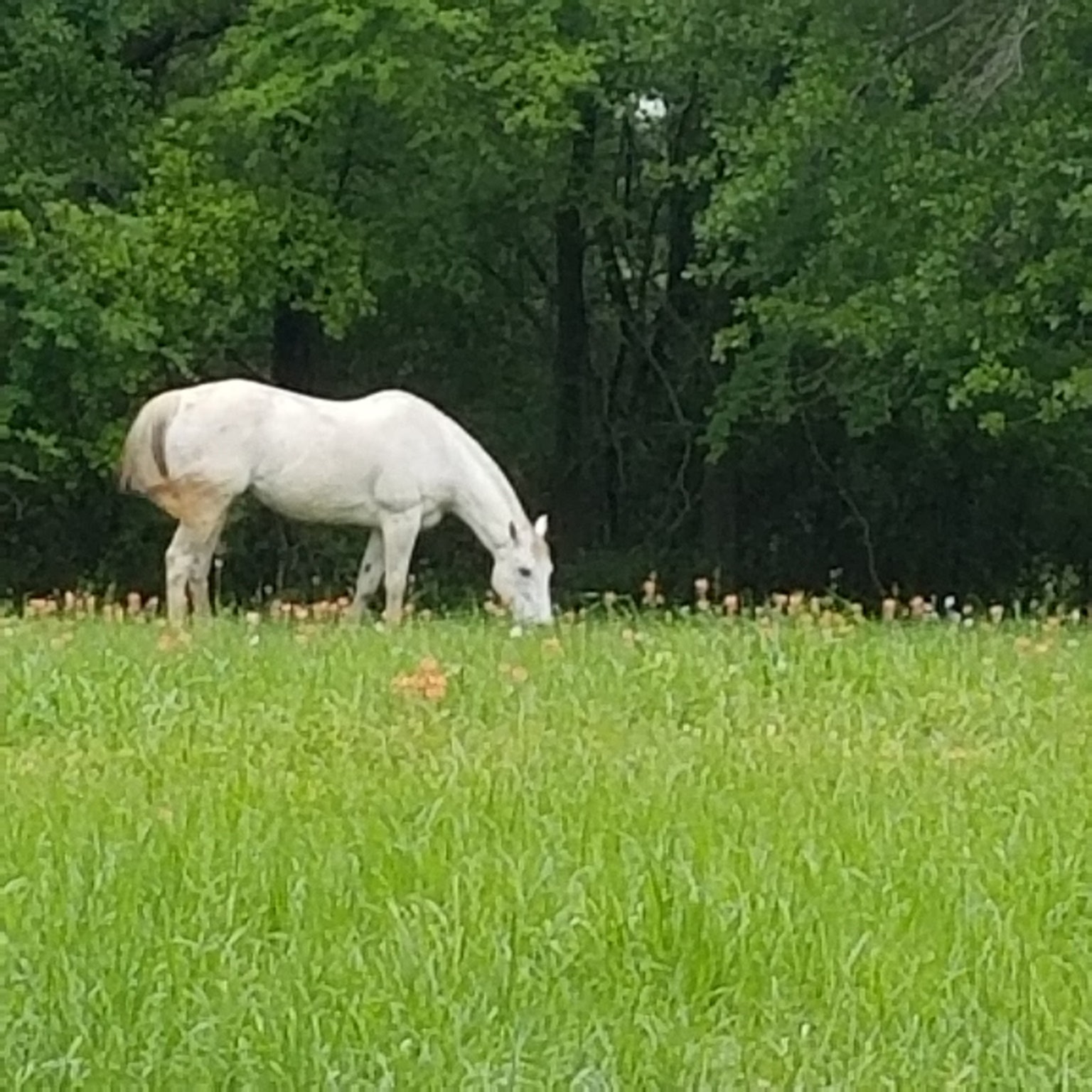 17830 County Road 4069