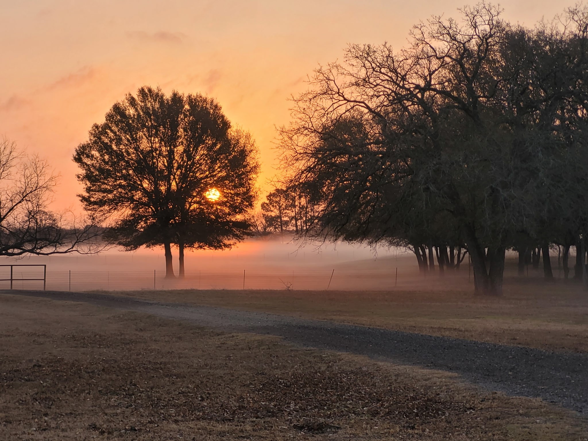 17830 County Road 4069