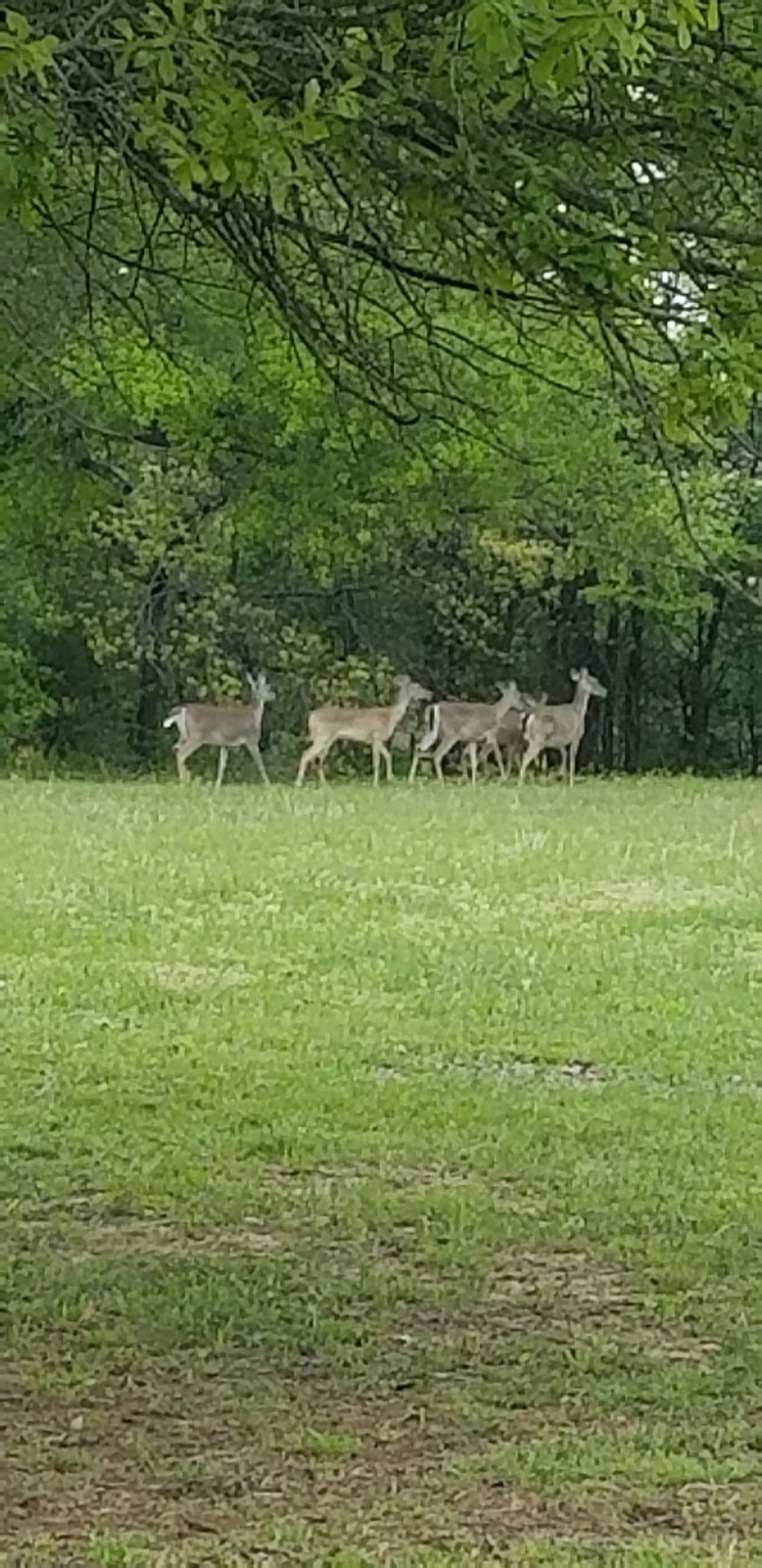 17830 County Road 4069