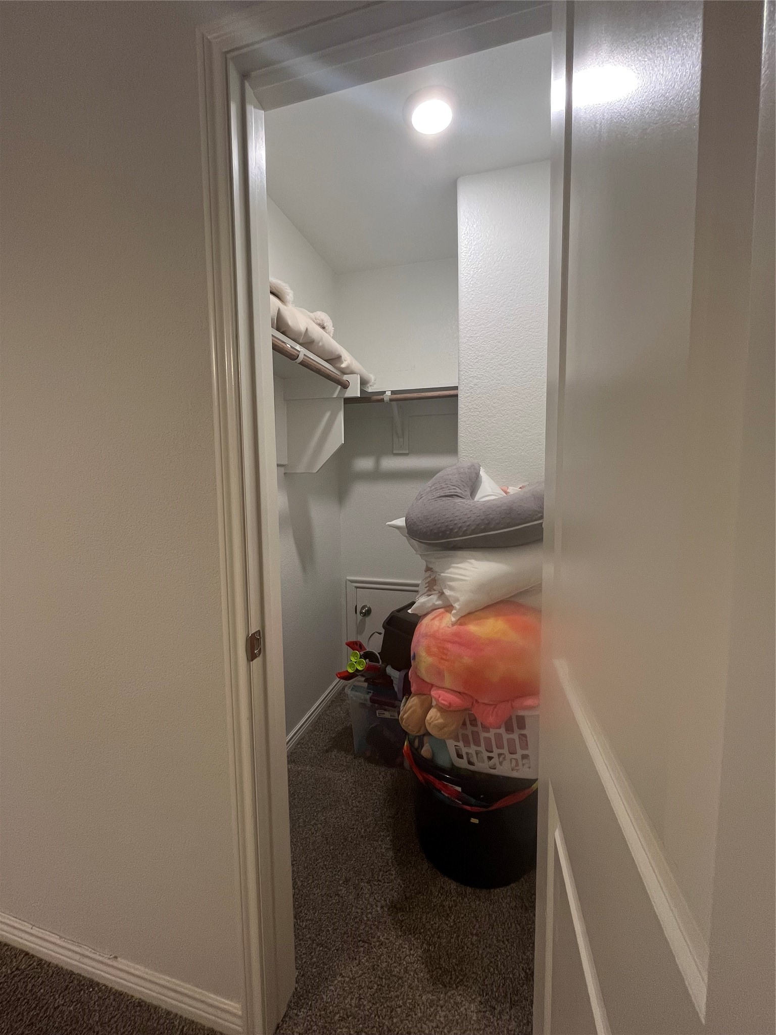 1808 Wagner Drive