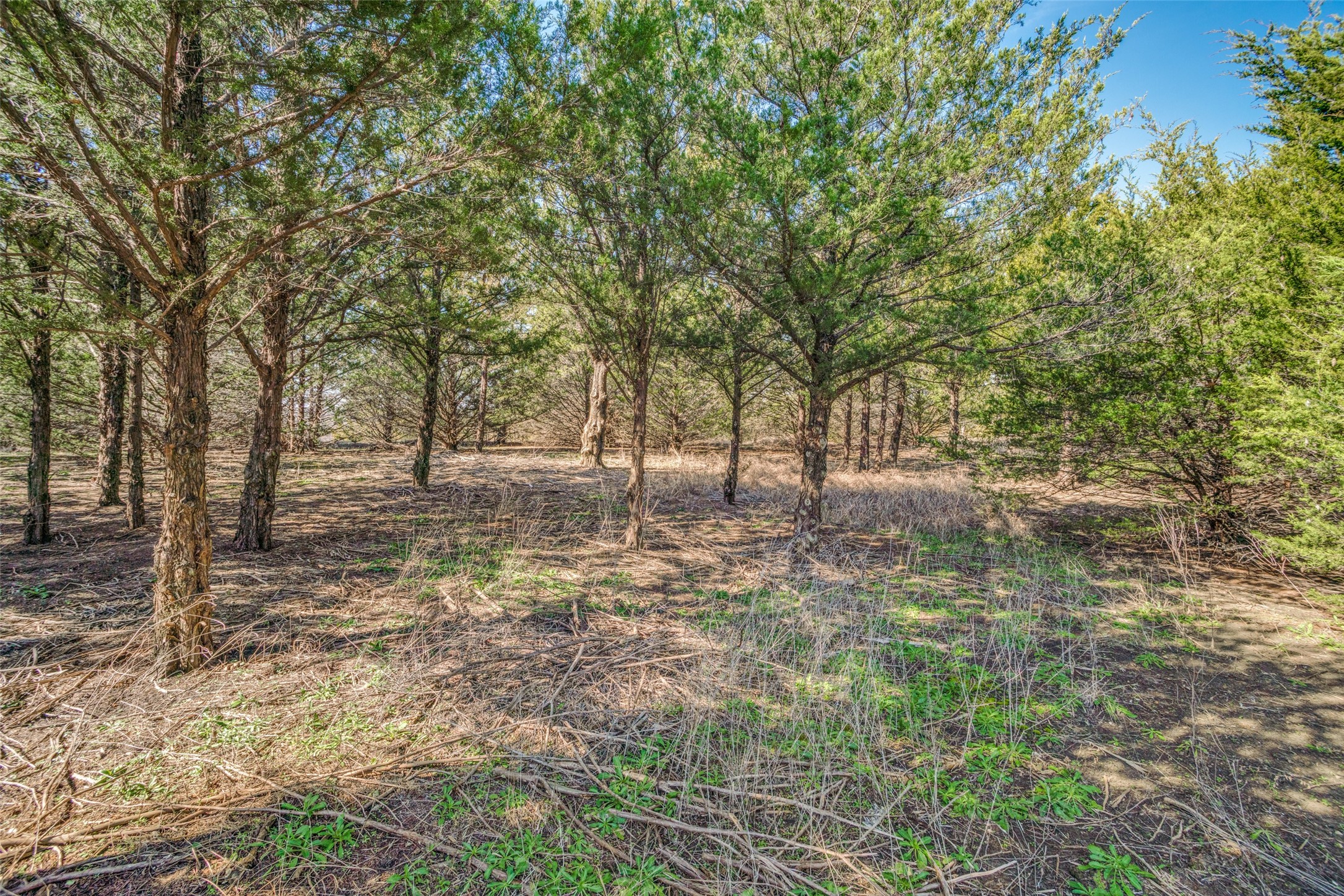 12485 County Road 675