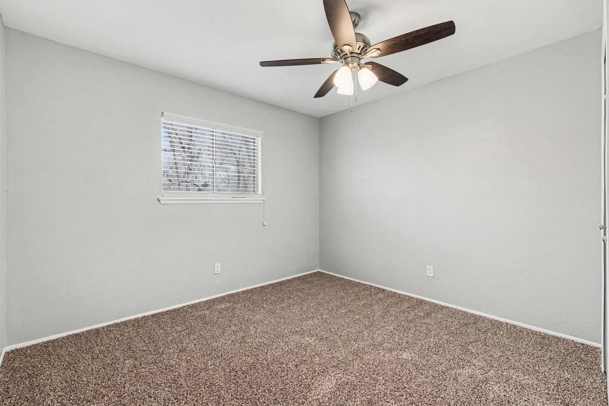 2312 Chinaberry Drive