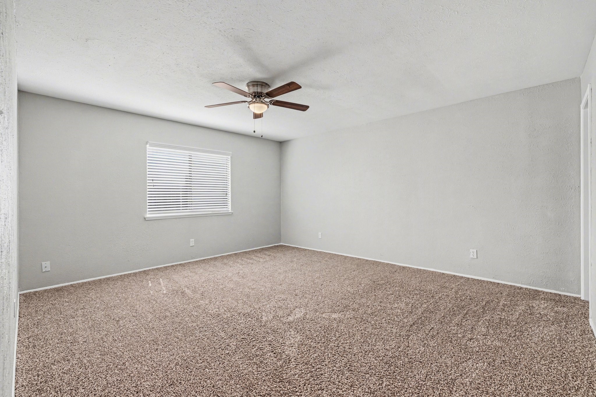 2312 Chinaberry Drive