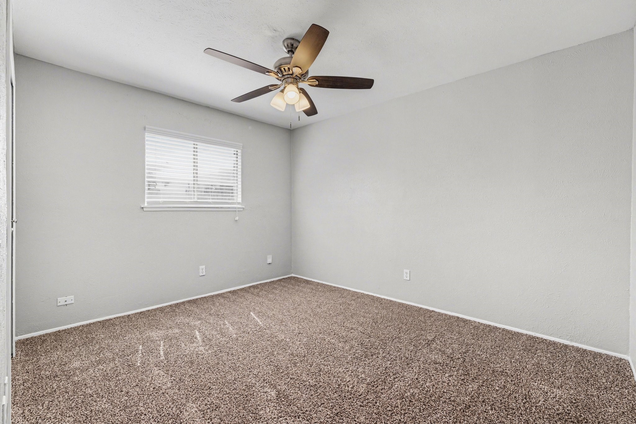 2312 Chinaberry Drive