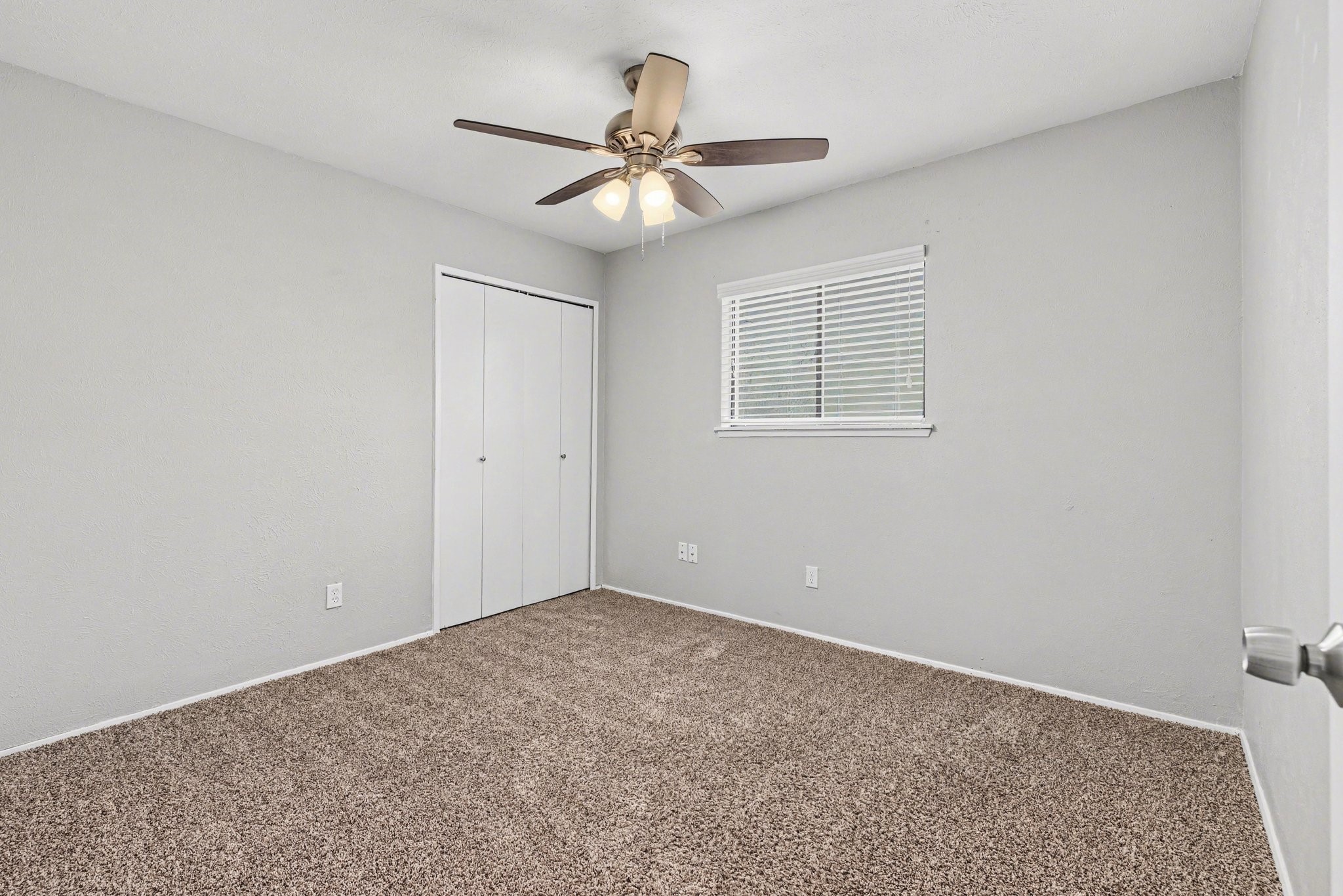 2312 Chinaberry Drive