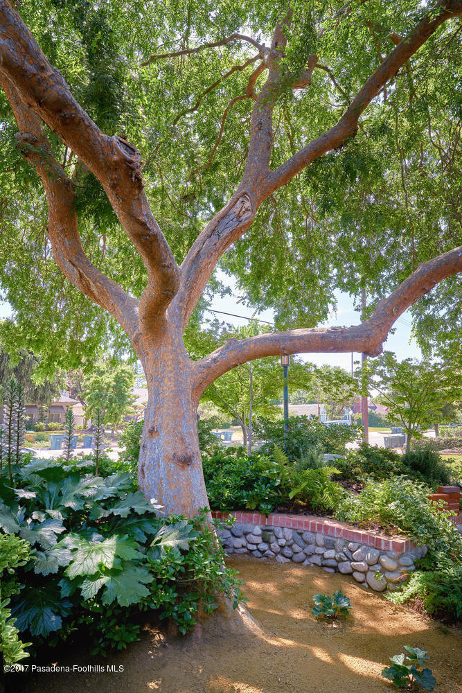 845 S Los Robles Avenue