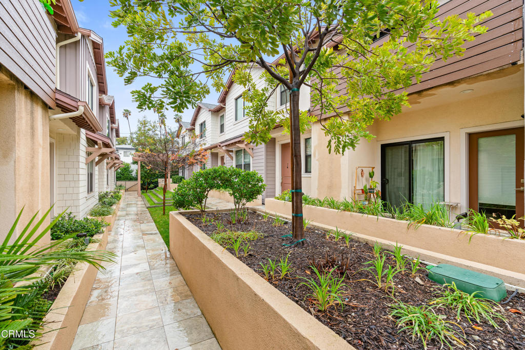 549 N Wilson Avenue Unit: 5