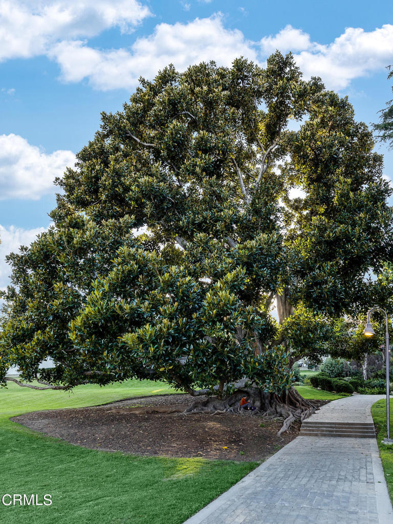 200 S Orange Grove Boulevard 207