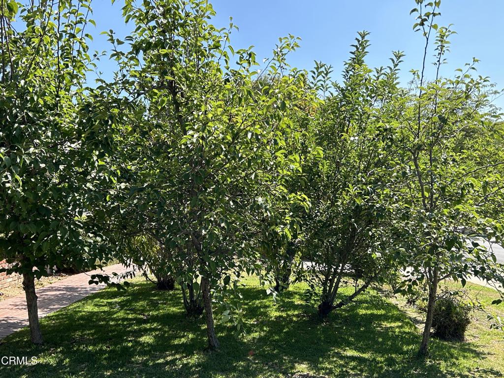 2265 Montecito Drive