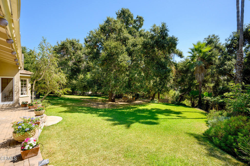 153 Spinks Canyon Road