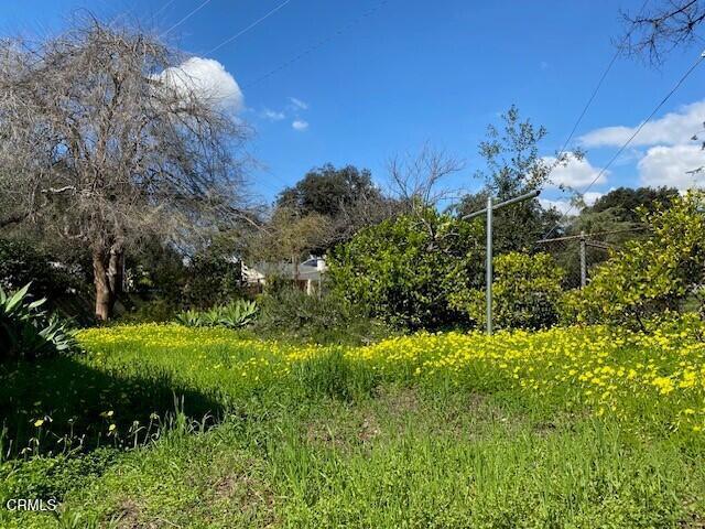 1815 Mountain Street E