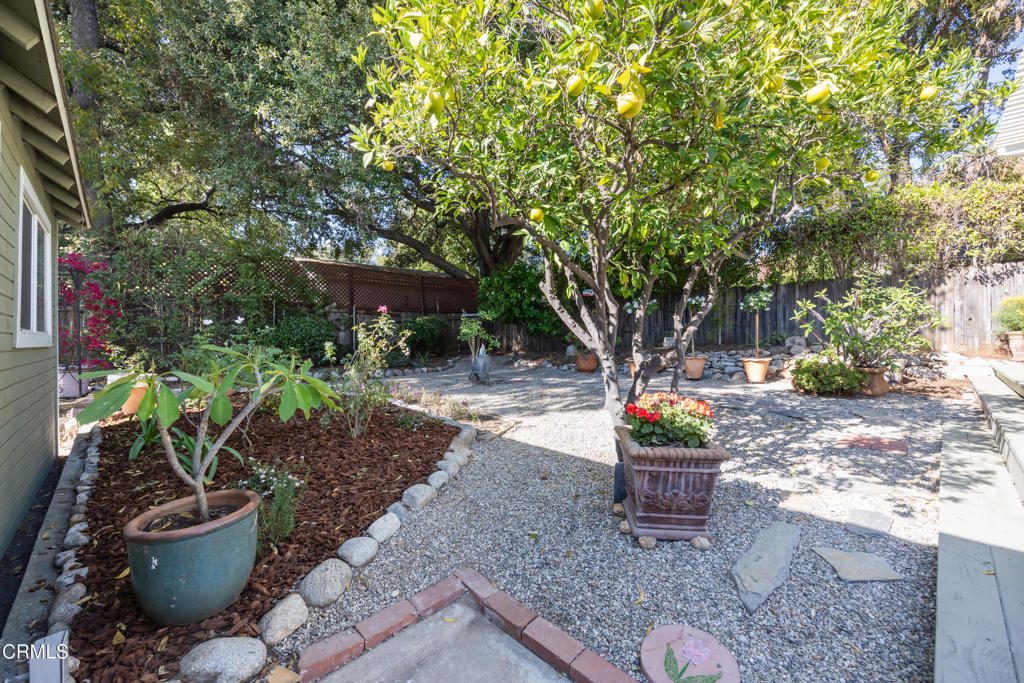 1831 N Michigan Avenue