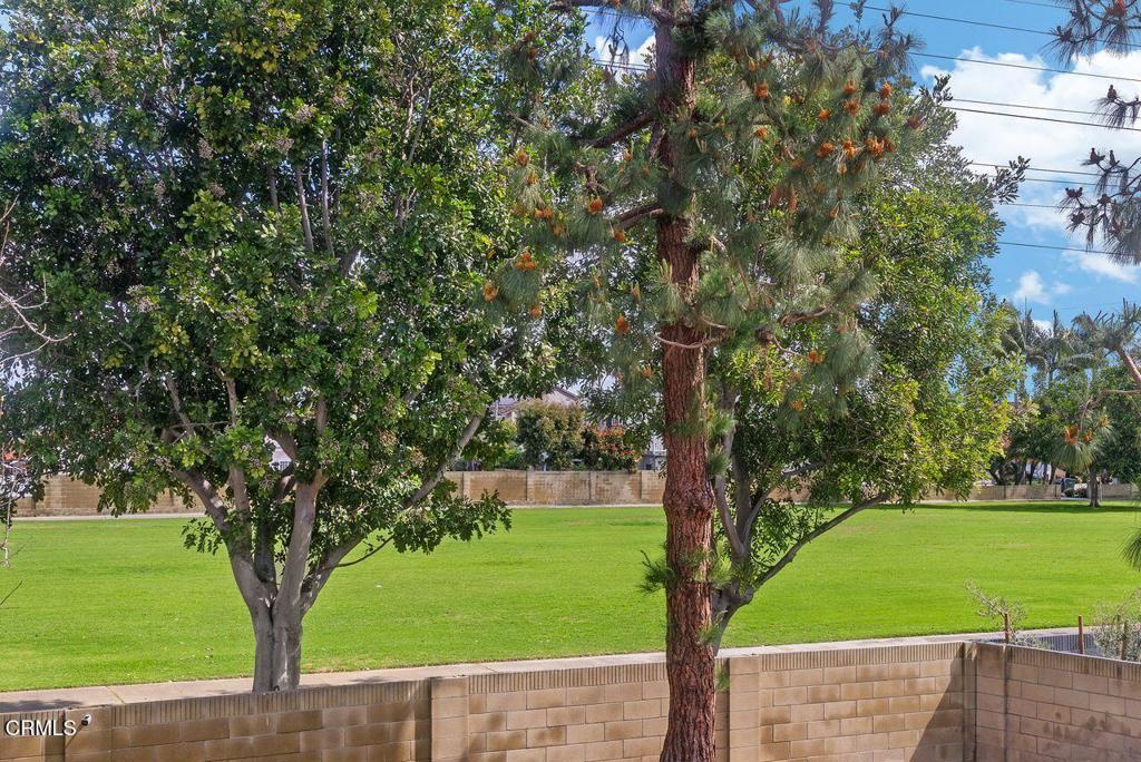 19082 Plum Tree Lane