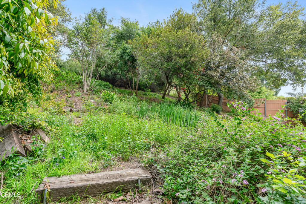 1743 Via Del Rey