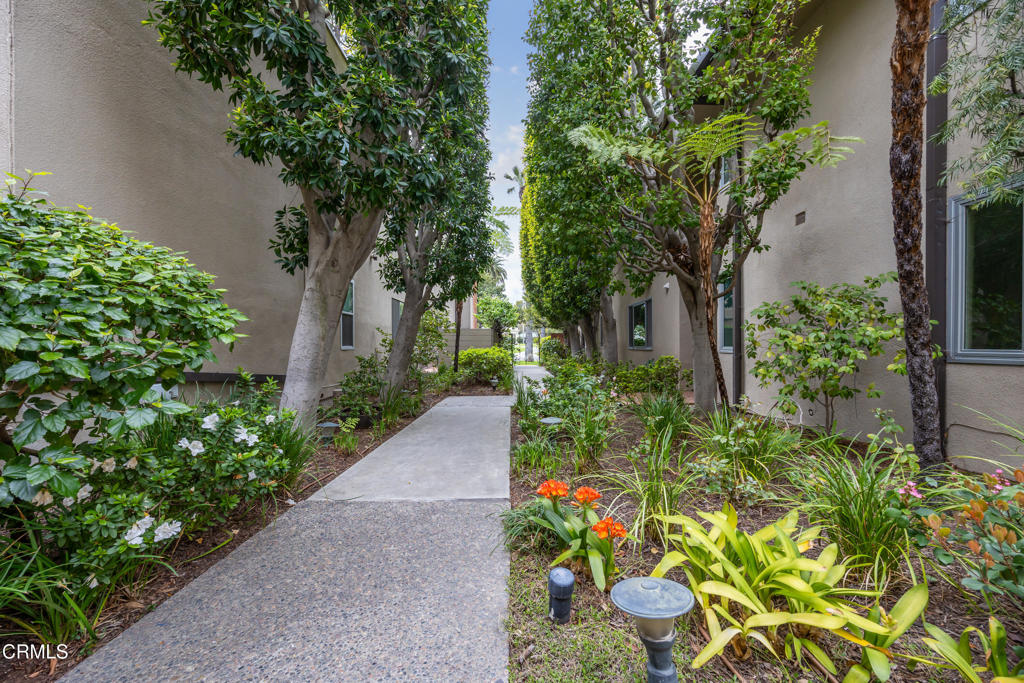 380 S Orange Grove Boulevard 6