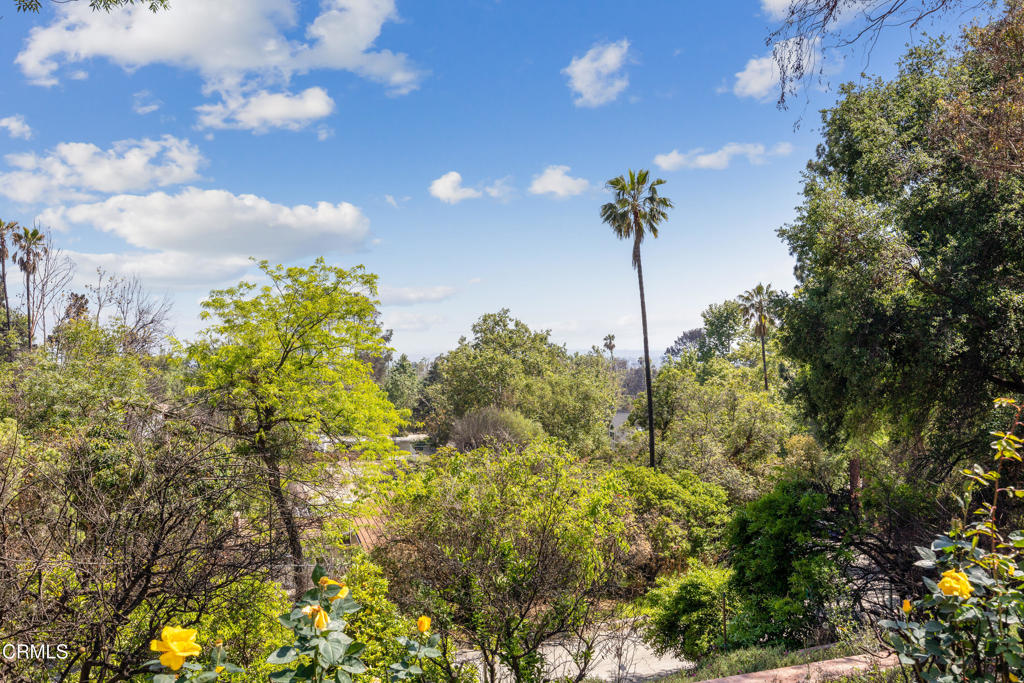 1437 Crest Drive