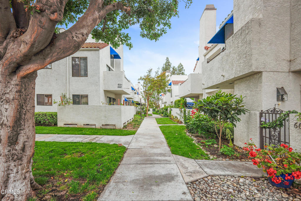 653 Park Shadow Court