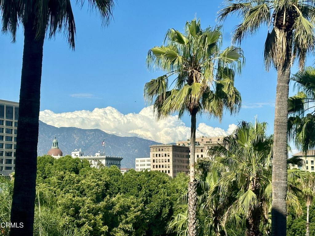 99 S Raymond Avenue 409