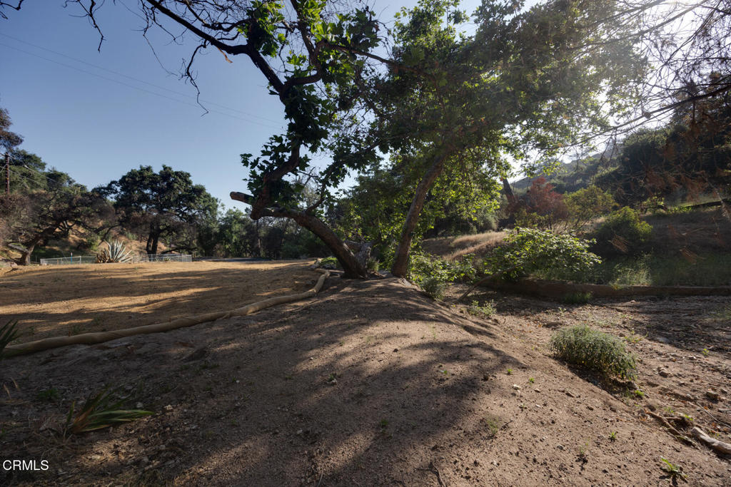 4011 Alzada Road