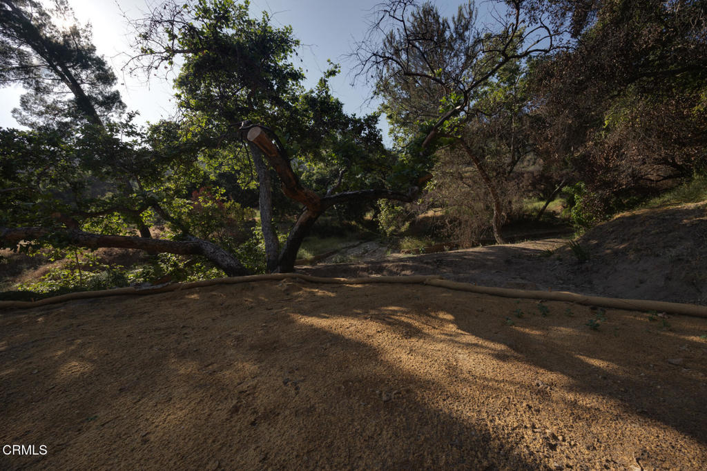 4011 Alzada Road