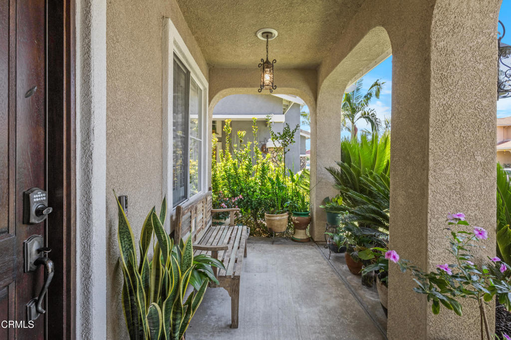3328 Whispering Palms