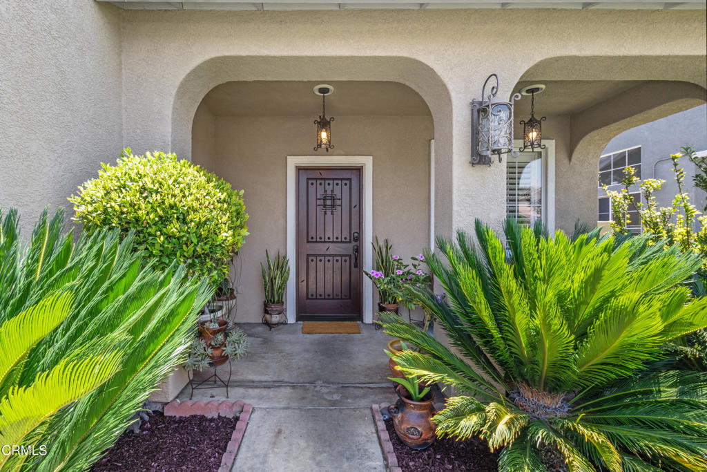 3328 Whispering Palms