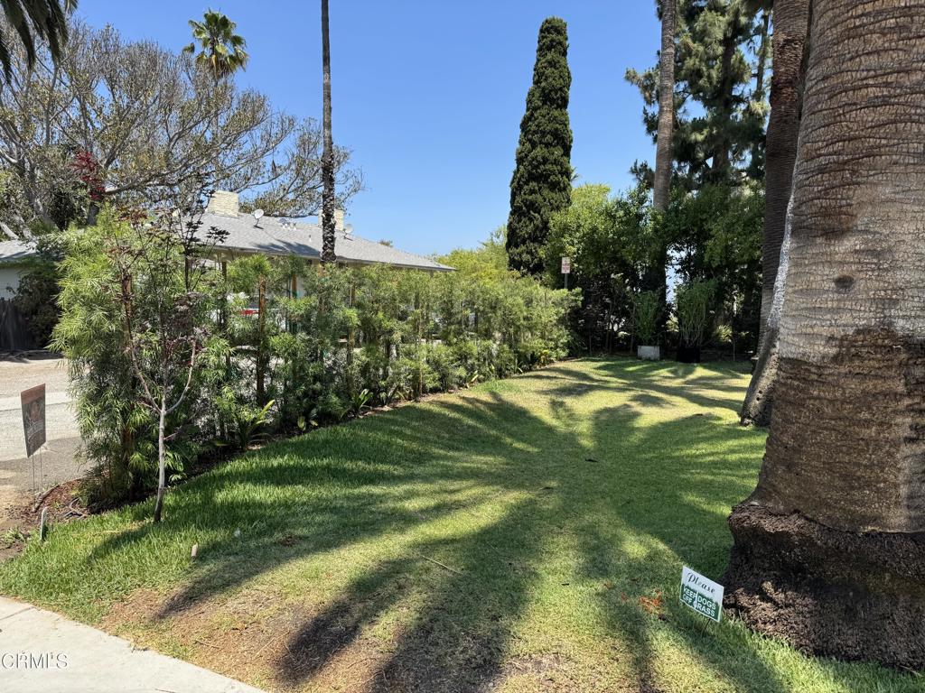 188 Cedar Crest Avenue 5