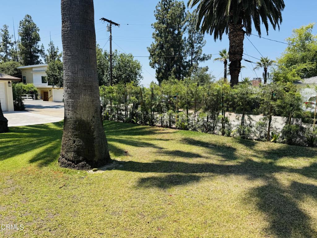 188 Cedar Crest Avenue 5