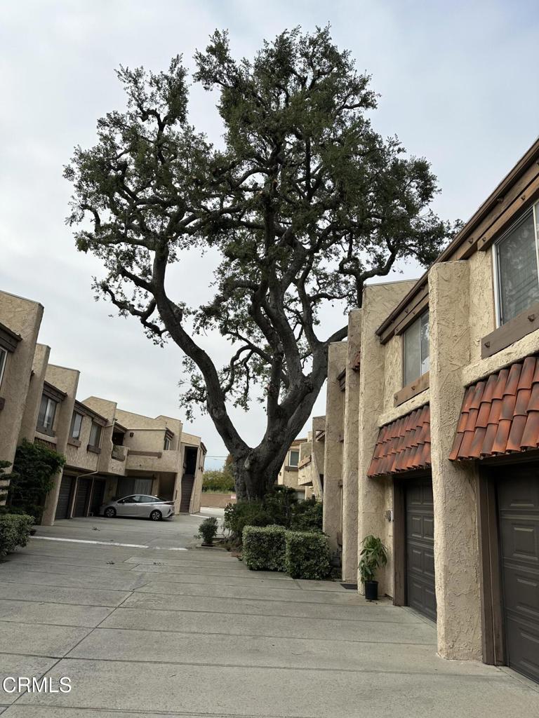 327 E Live Oak Street 17