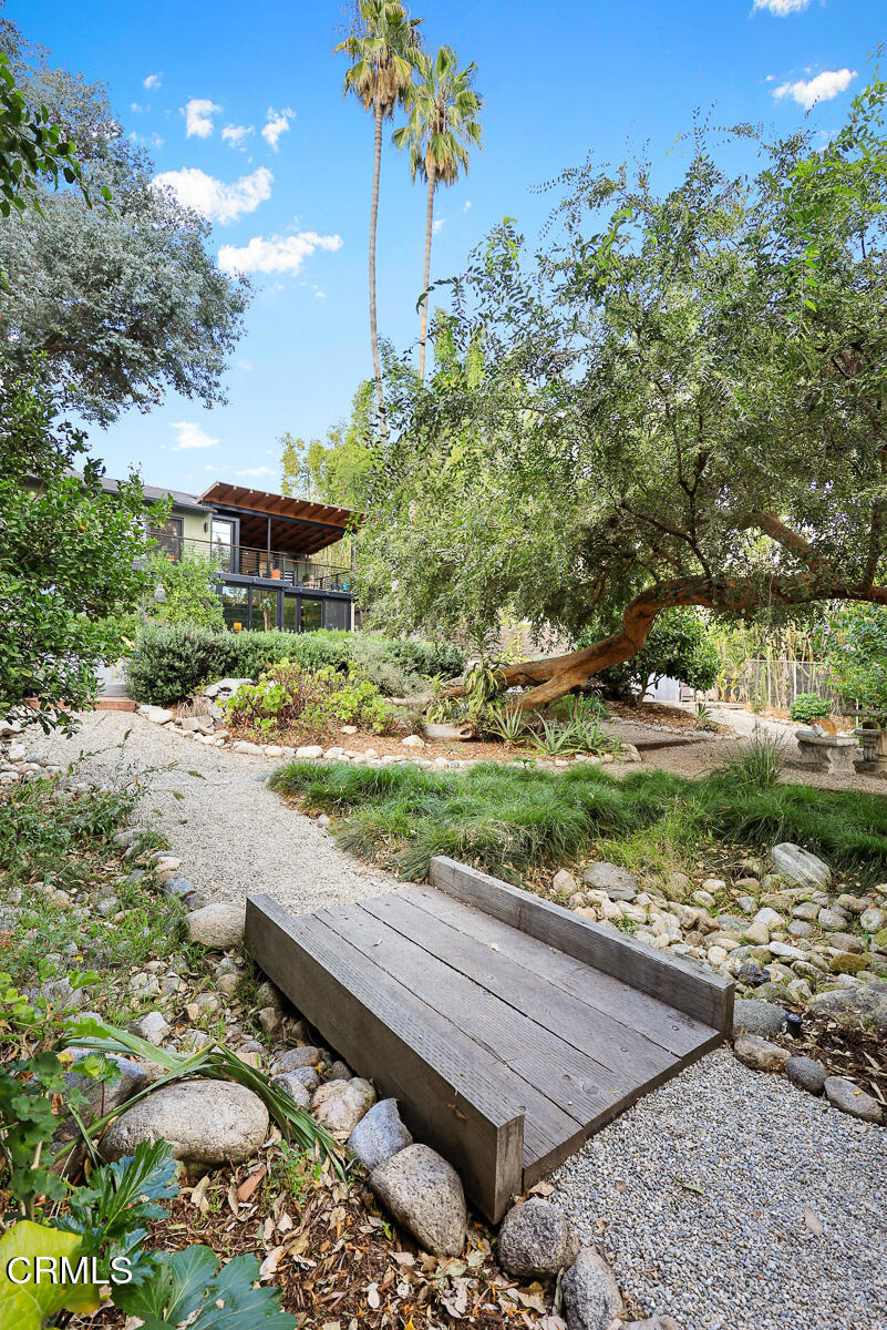 1121 Buena Vista Street