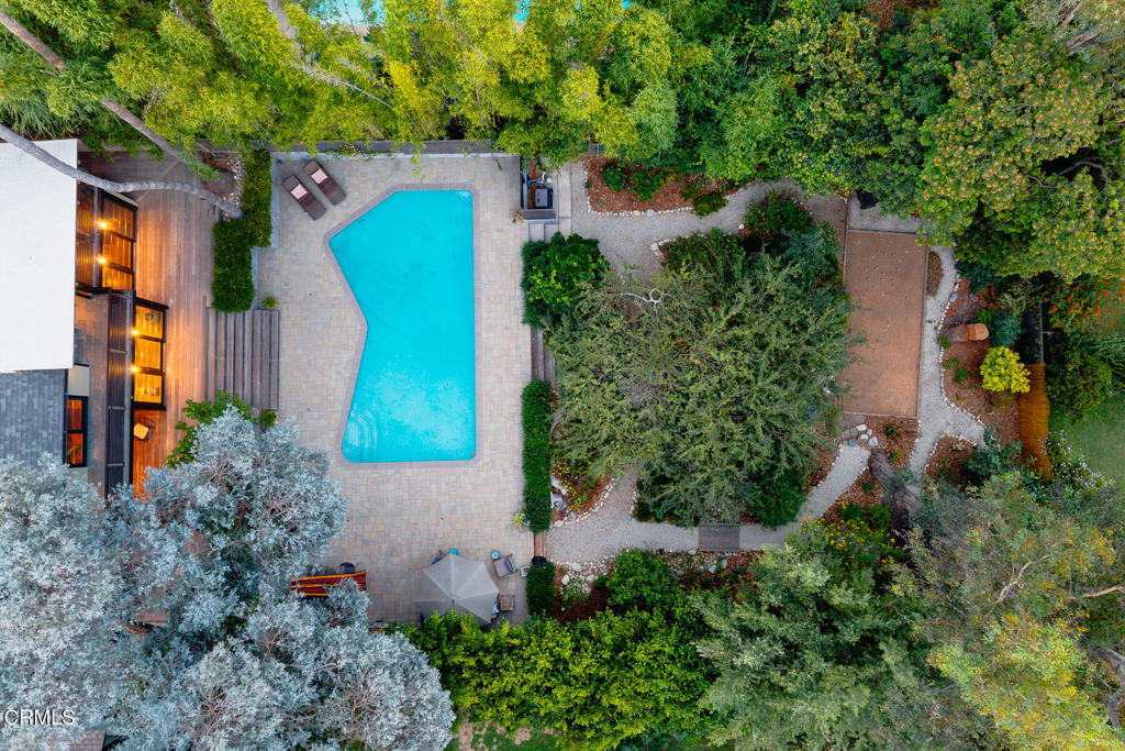 1121 Buena Vista Street