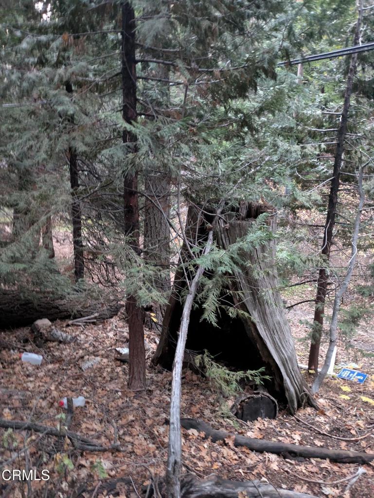 0 Fleming Creek