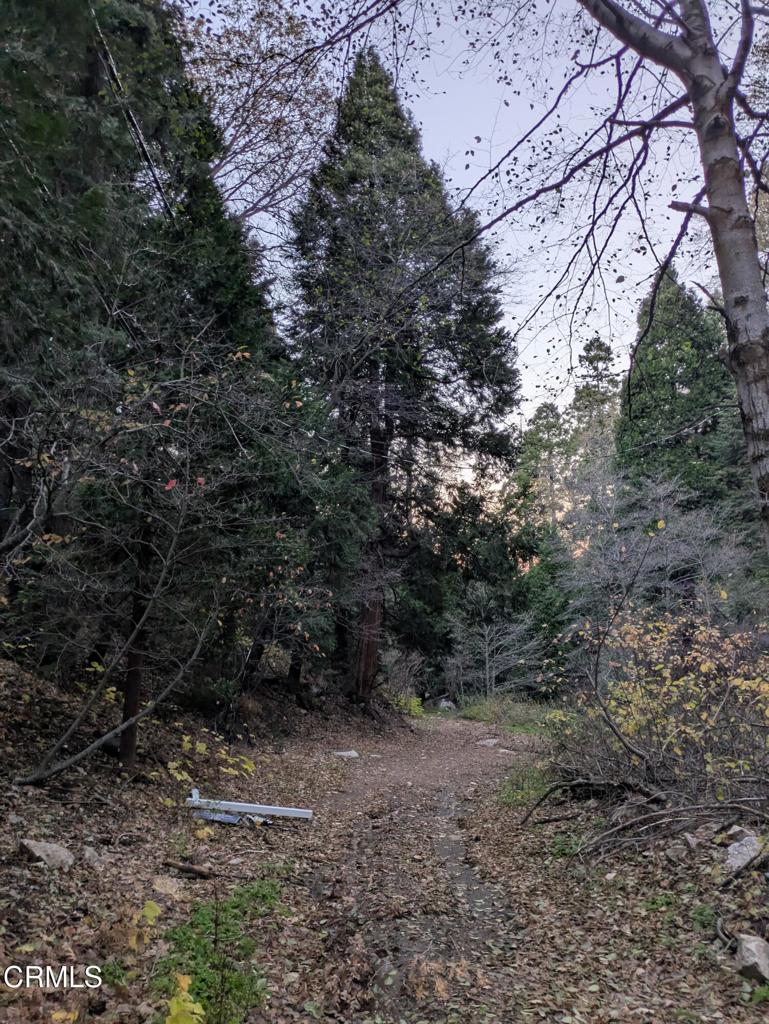 0 Fleming Creek