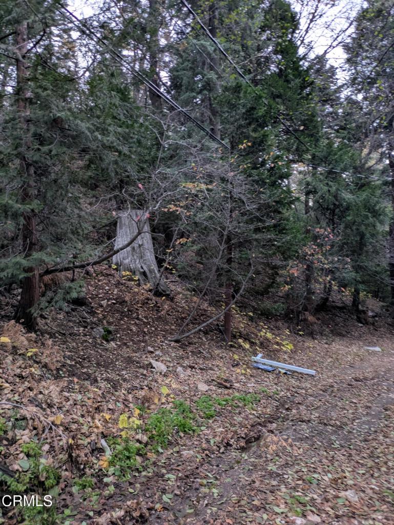 0 Fleming Creek