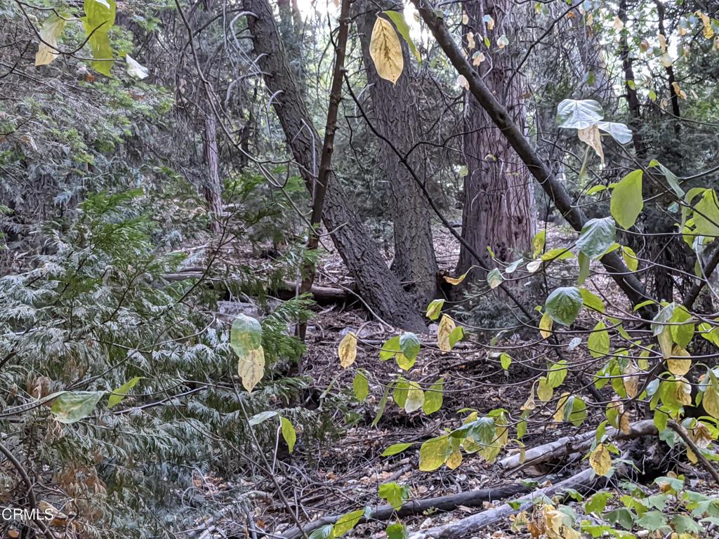 0 Fleming Creek