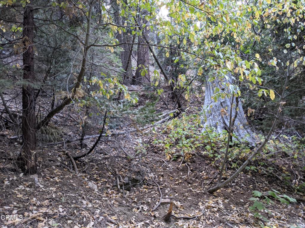 0 Fleming Creek