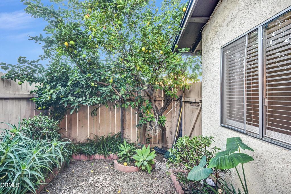 4543 Bodega Court 90