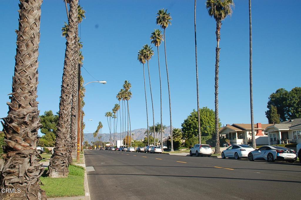 125 S Primrose Avenue