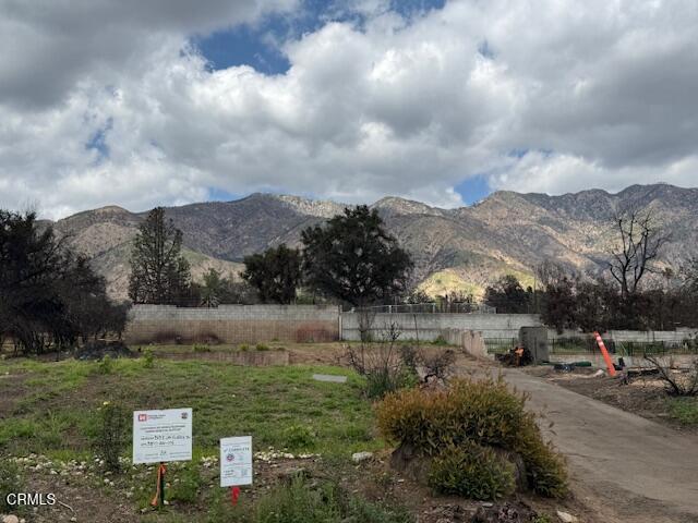 563 E Las Flores Drive